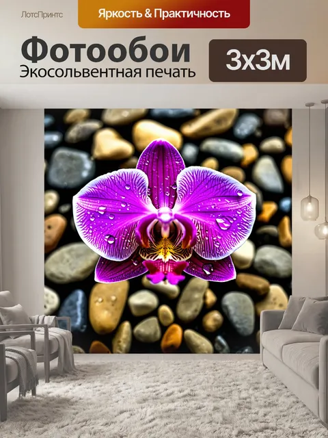 Фотообои орхидея с крупными каплями воды, отражающими свет, на фоне мелких камней