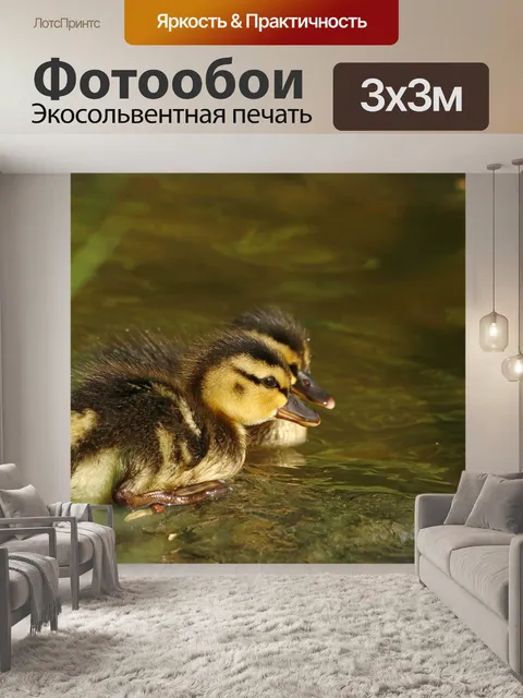 Фотообои Утки