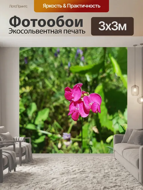 Фотообои Душистый горошек