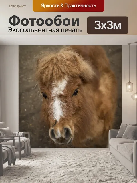 Фотообои Маленький пони
