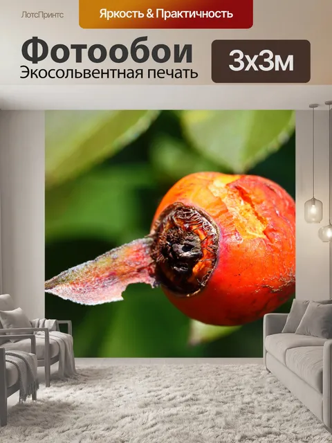 Фотообои Поврежденный апельсин шиповник в саду