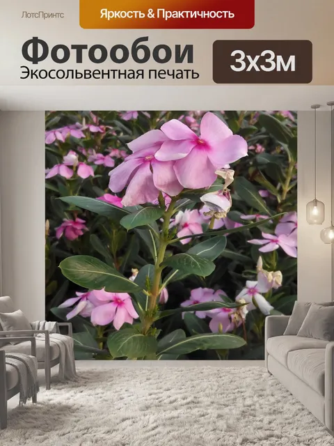 Фотообои Розовые цветы