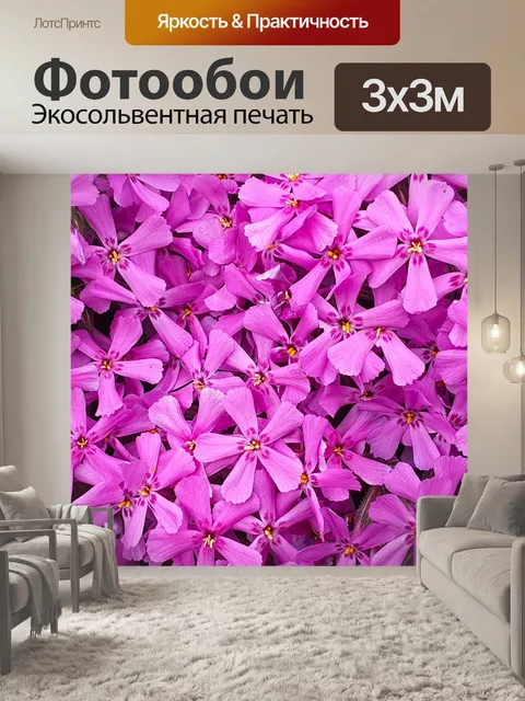 Фотообои ползучий флокс
