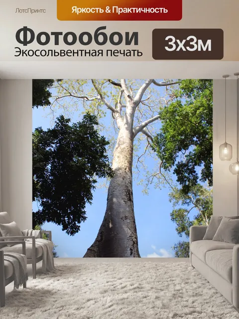 Фотообои Большое дерево