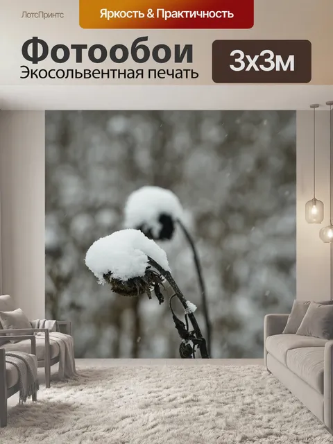 Фотообои Подсолнухи в снегу