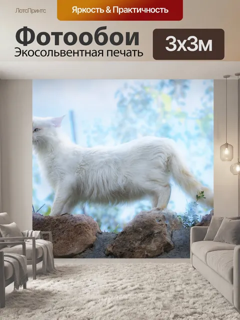 Фотообои Кот