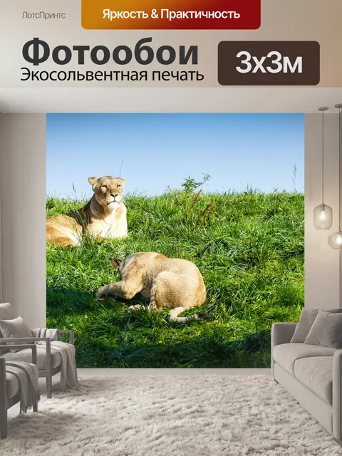 Фотообои Львица