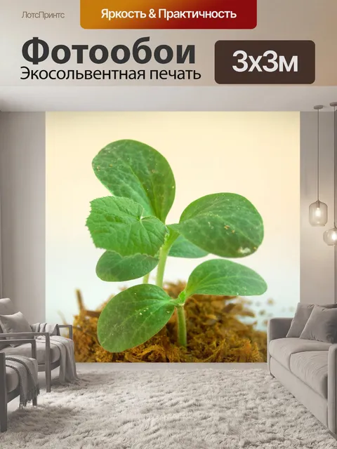 Фотообои Молодое дерево