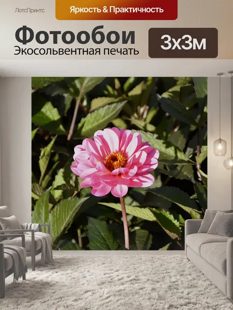 Фотообои Цветок ярко-розовыми цветами