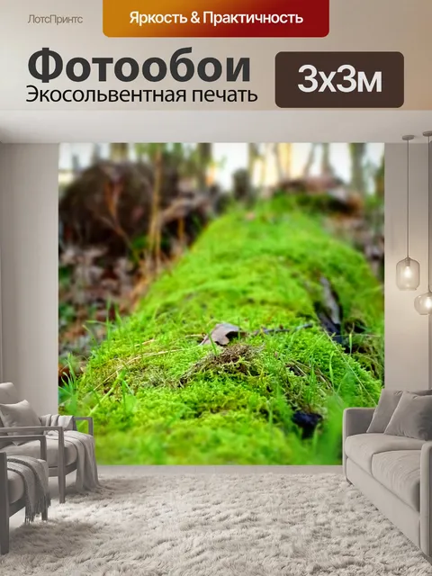 Фотообои Мосс