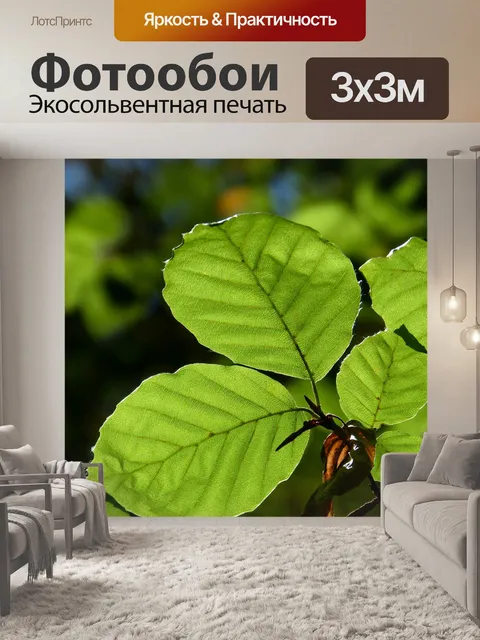 Фотообои Лист