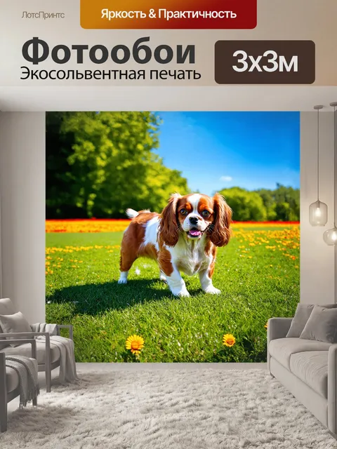 Фотообои в центре кадра находится счастливая собака породы кавалер кинг чарльз спаниель, играющая в солнечном парке