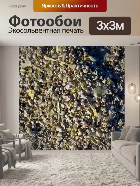 Фотообои Кости