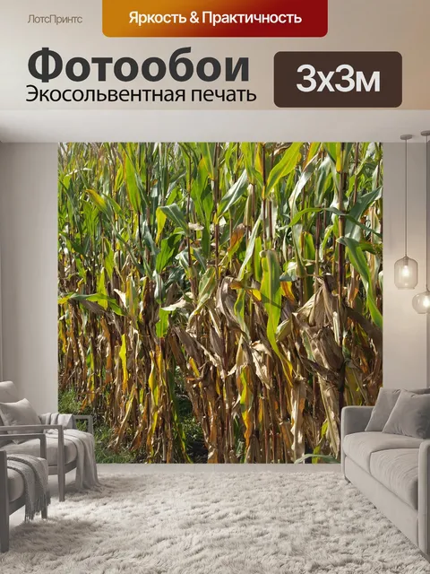 Фотообои Кукурузное поле