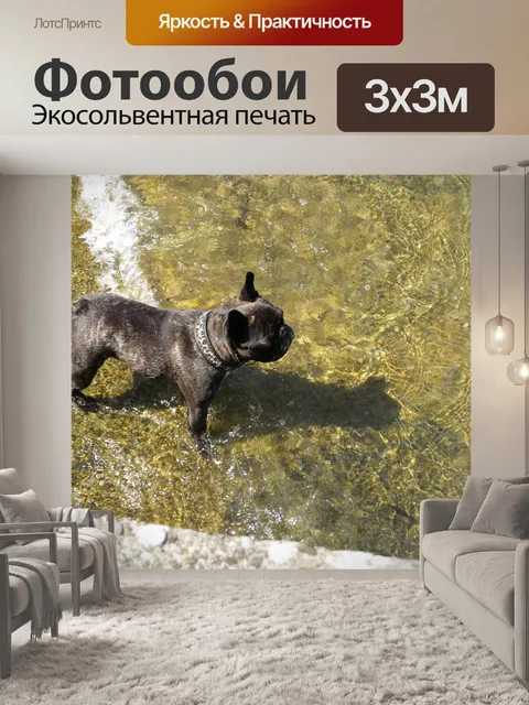 Фотообои Собака