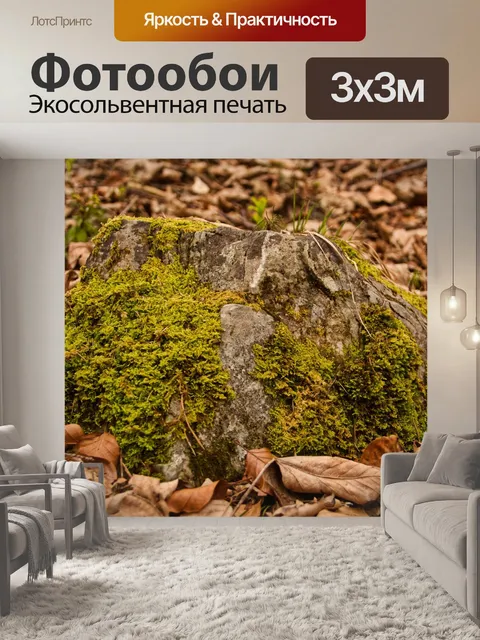 Фотообои Лес