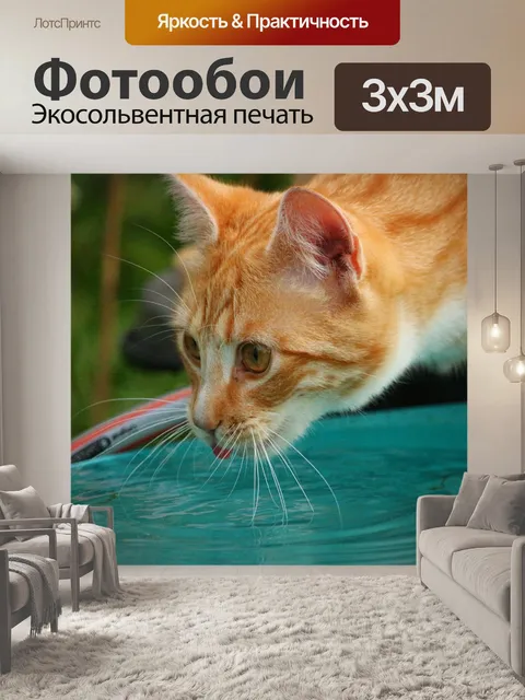 Фотообои Кот