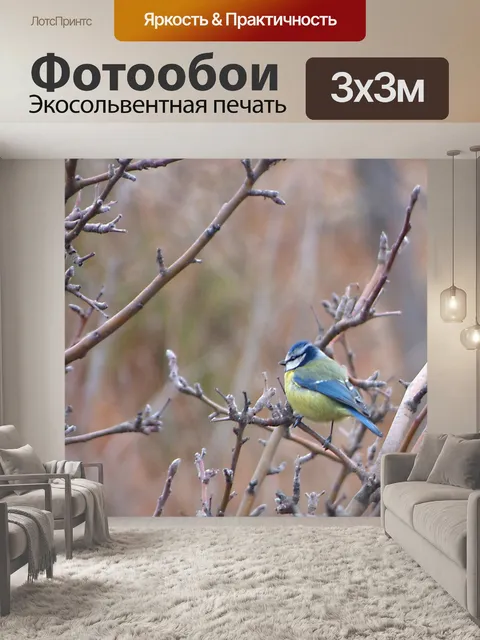 Фотообои Птица