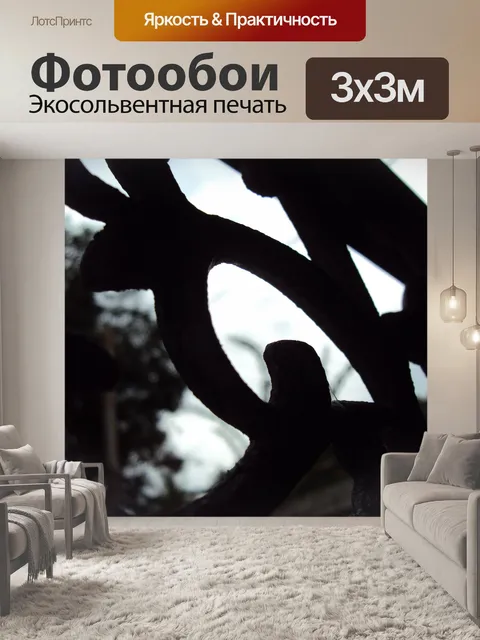 Фотообои Темный грили