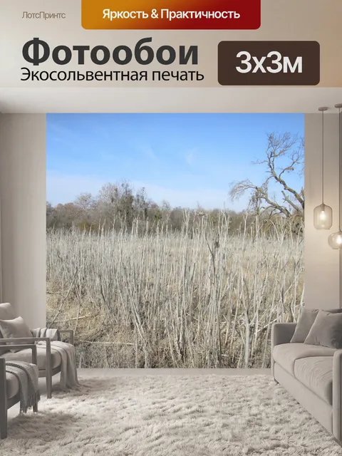 Фотообои Сушеные травы 2