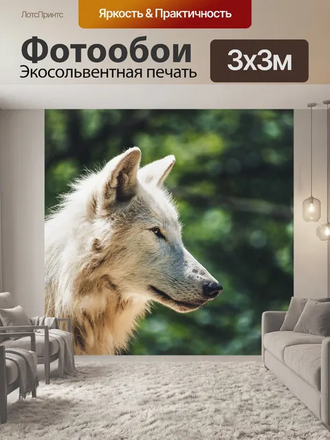 Фотообои Волк