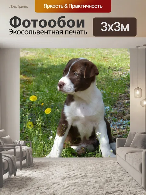 Фотообои Щенок