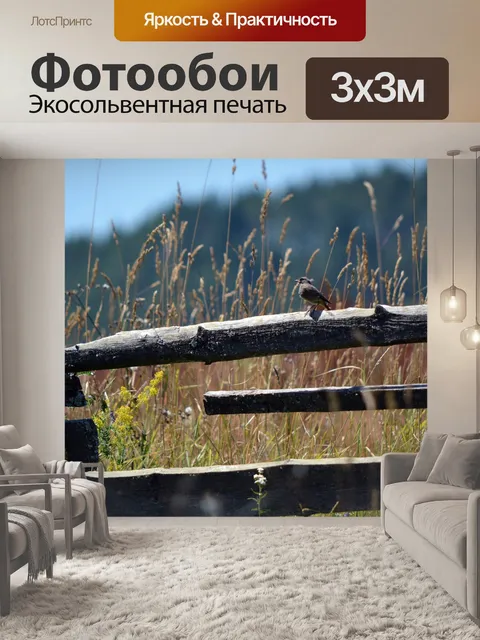 Фотообои Птица