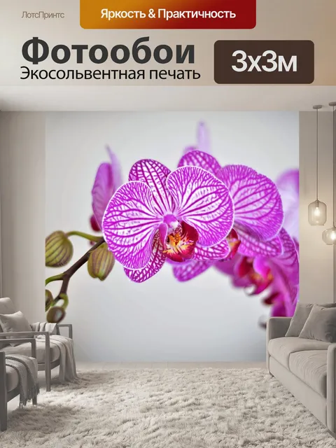 Фотообои Орхидея
