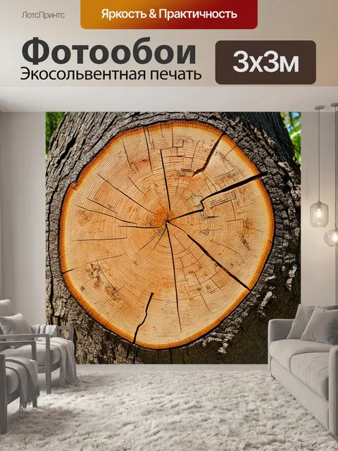 Фотообои текстура спила дерева, изображенная в виде карты с контрастными деталями и элементами
