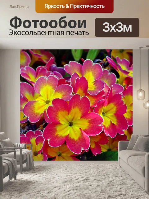Фотообои Первоцветы