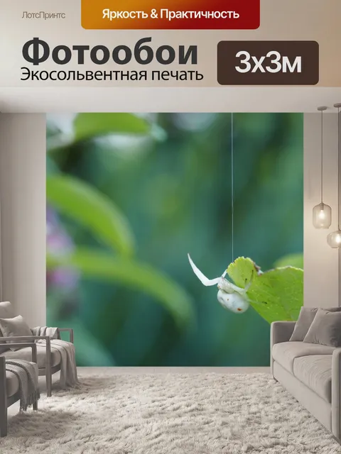 Фотообои Белый паук