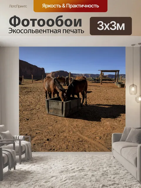 Фотообои лошади