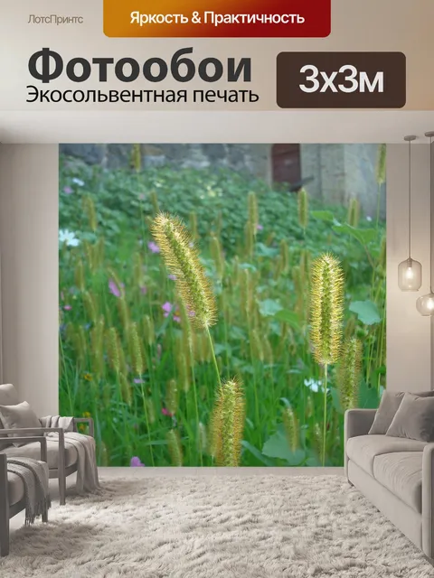 Фотообои Природа