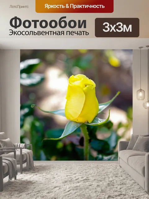 Фотообои Желтый бутон розы