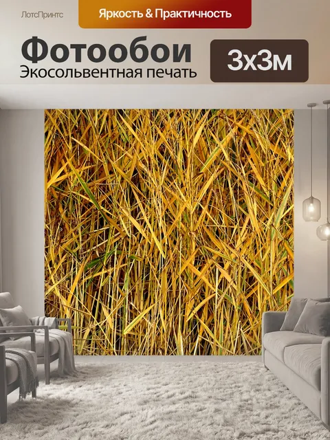 Фотообои Длинная осень осень трава фон