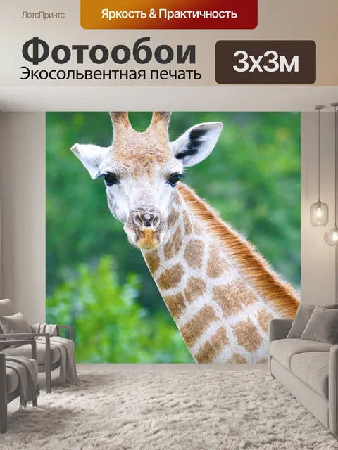 Фотообои Жирафа