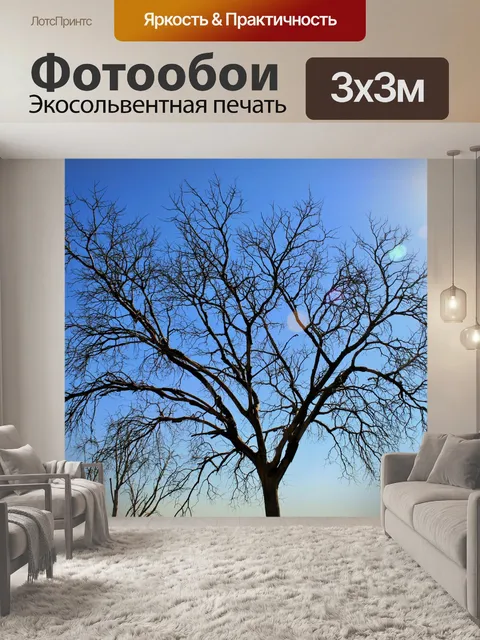Фотообои голые дерево на солнце