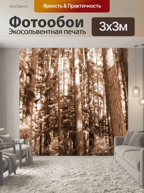 Фотообои Вечнозеленые деревья Вашингтон лес