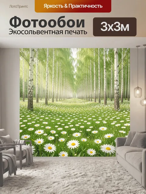 Фотообои Берёзовая аллея с ромашками