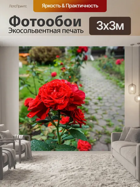 Фотообои Цветок