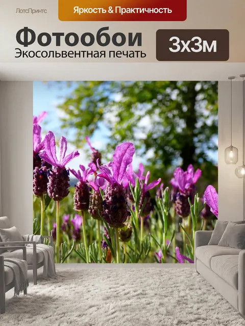 Фотообои Лаванда