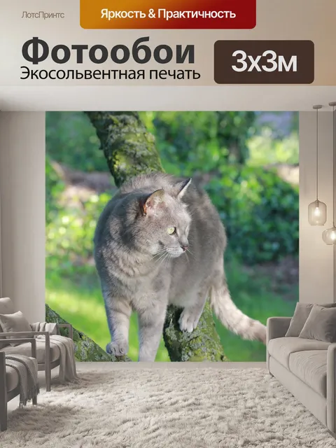 Фотообои Кошка