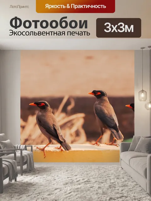 Фотообои Птицы