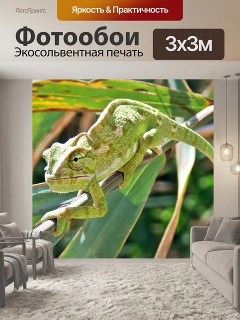 Фотообои Хамелеон на ветке