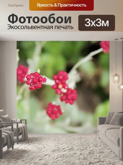 Фотообои Красный вечный цветок