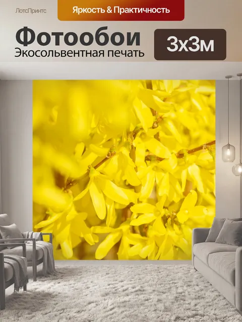 Фотообои Forsythia