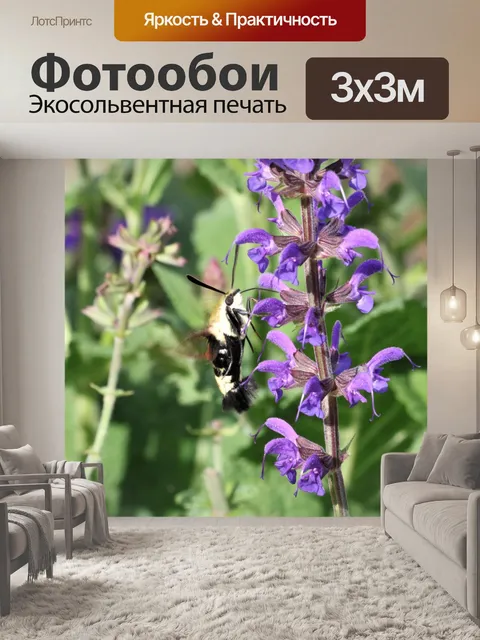 Фотообои Молния колибри