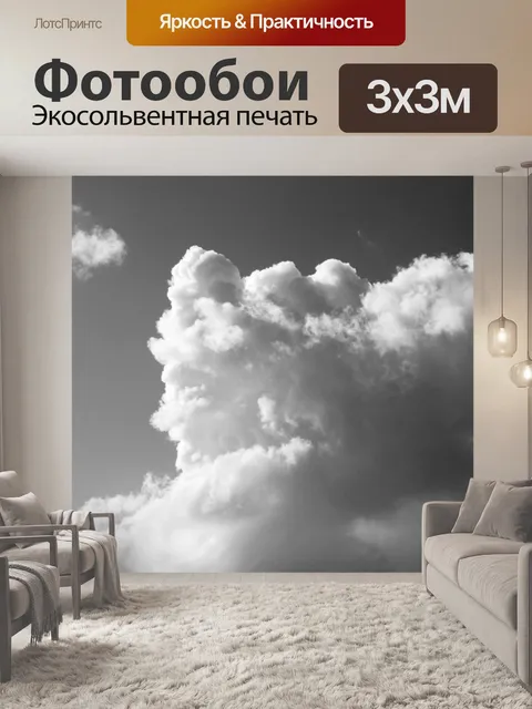 Фотообои Черно-белые облака