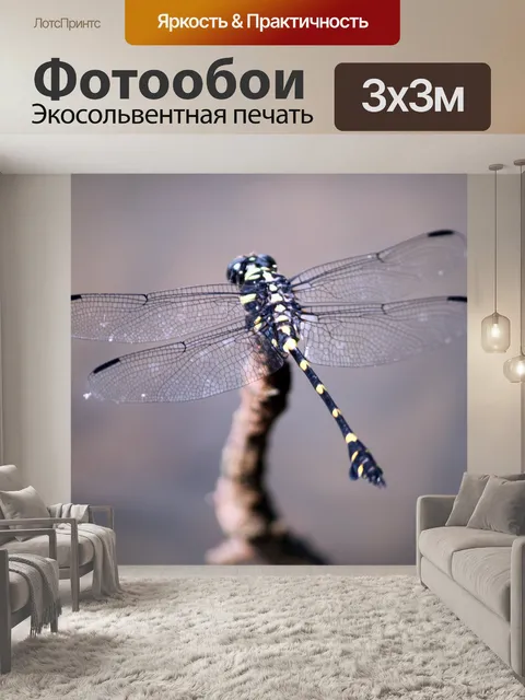 Фотообои черные и желтые пунктирные стрекоза