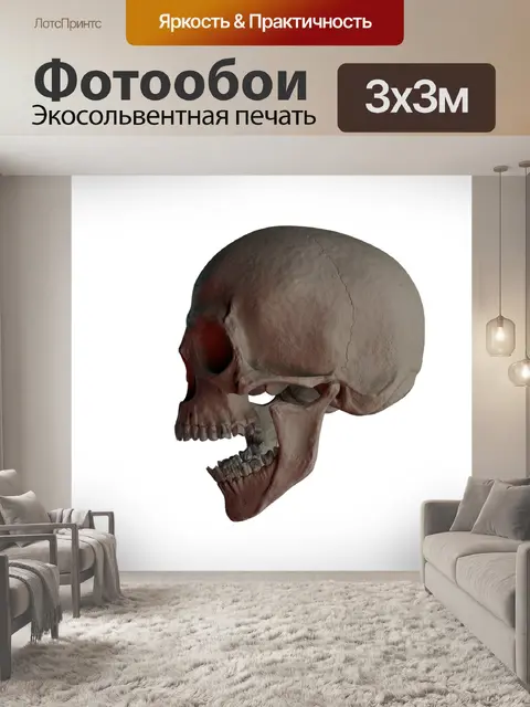 Фотообои Череп